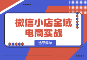 【2025.1.13】微信小店全域电商实战系列之–选品爆单-乐仔项目网